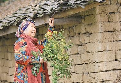 公式“時尚奶奶”的賞花照，收獲了好多人的點贊。 受訪者供圖