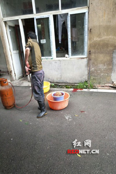 5月8日，男子在校園里殺狗，地上殘留一塊血跡。目擊者供圖。