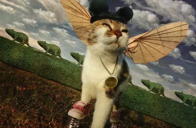 一只虛擬寵物貓叫價13億元？云養貓成真