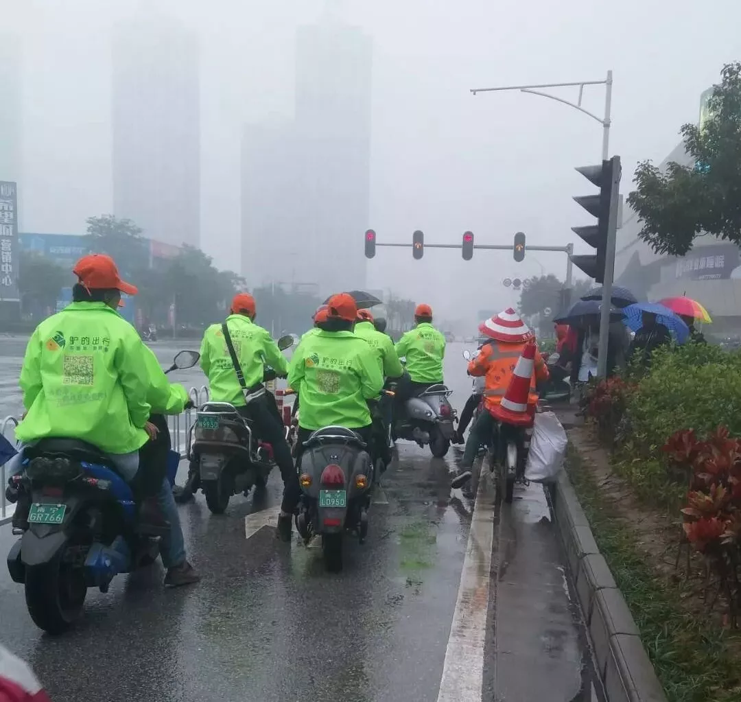 出門打驢? 南寧“滴滴打驢”被緊急叫停 出門打驢? 南寧“滴滴打驢”被緊急叫停