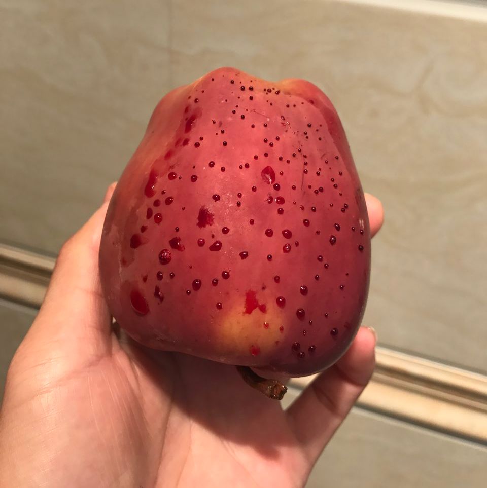 嚇懵!女子用熱水泡蘋果結果冒出血珠 咋回事? 嚇懵!女子用熱水泡蘋果結果冒出血珠 咋回事?
