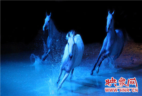 夢幻舞馬演出現(xiàn)場 夢幻舞馬演出現(xiàn)場