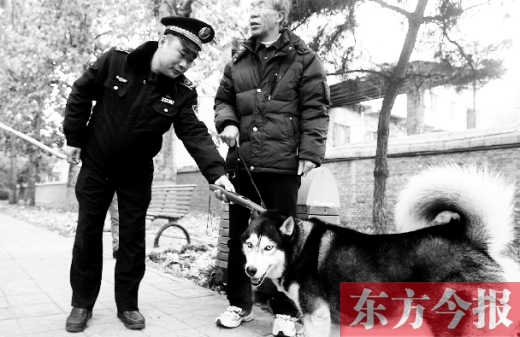 鄭州市金水區執法局執法人員在檢查狗狗有沒有辦證 東方今報記者 沈翔 攝 鄭州市金水區執法局執法人員在檢查狗狗有沒有辦證 東方今報記者 沈翔 攝