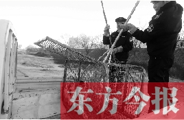 一只流浪狗狗被捕捉進籠子 東方今報首席記者 劉棟杰 攝 一只流浪狗狗被捕捉進籠子 東方今報首席記者 劉棟杰 攝