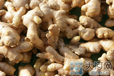 生姜價格大幅上漲 “姜你軍”再度來襲 生姜價格大幅上漲 “姜你軍”再度來襲