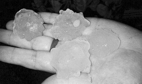 昨天凌晨,三門峽下起了冰雹,最大直徑近1厘米 微博截圖 昨天凌晨,三門峽下起了冰雹,最大直徑近1厘米 微博截圖