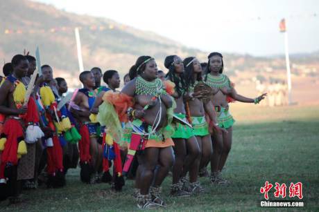 斯威士蘭蘆葦節開選秀女 斯威士蘭蘆葦節開選秀女