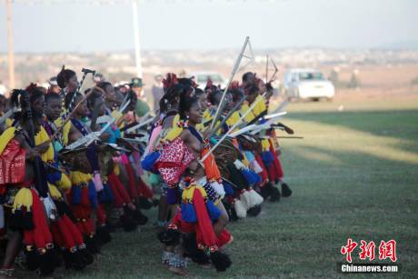 斯威士蘭蘆葦節開選秀女 斯威士蘭蘆葦節開選秀女