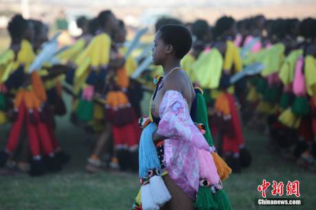 斯威士蘭蘆葦節開選秀女 斯威士蘭蘆葦節開選秀女