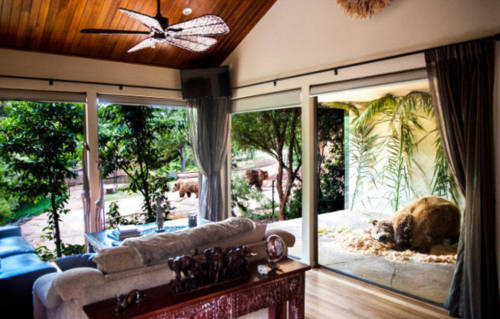 澳洲動(dòng)物園中開(kāi)旅館 親密接觸野生動(dòng)物 澳洲動(dòng)物園中開(kāi)旅館 親密接觸野生動(dòng)物