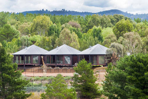 澳洲動(dòng)物園中開(kāi)旅館 親密接觸野生動(dòng)物 澳洲動(dòng)物園中開(kāi)旅館 親密接觸野生動(dòng)物