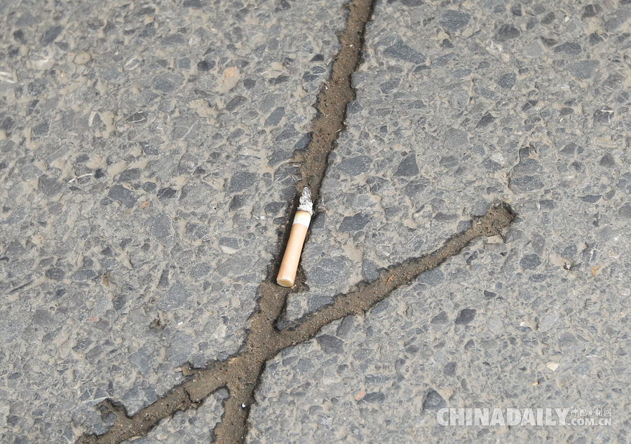 鄭州司機開車隨手扔煙頭被罰100元 鄭州司機開車隨手扔煙頭被罰100元