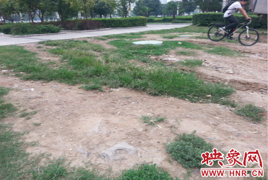 公園內(nèi)大片草坪遭到破壞。 公園內(nèi)大片草坪遭到破壞。