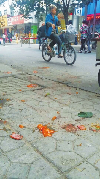 爛了一地的柿子影響市容,還常常滑倒人。 爛了一地的柿子影響市容,還常常滑倒人。