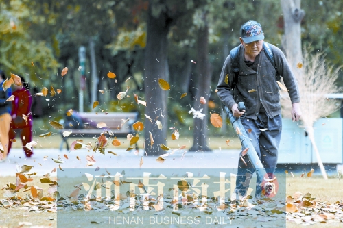 秋風吹過,落葉滿地 秋風吹過,落葉滿地