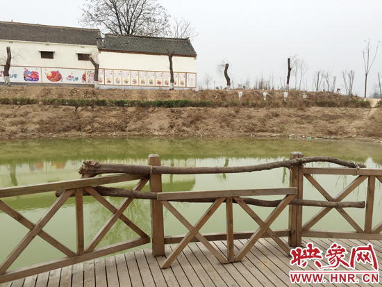 護(hù)欄損毀的地方，已經(jīng)被兩根樹(shù)干擋住。