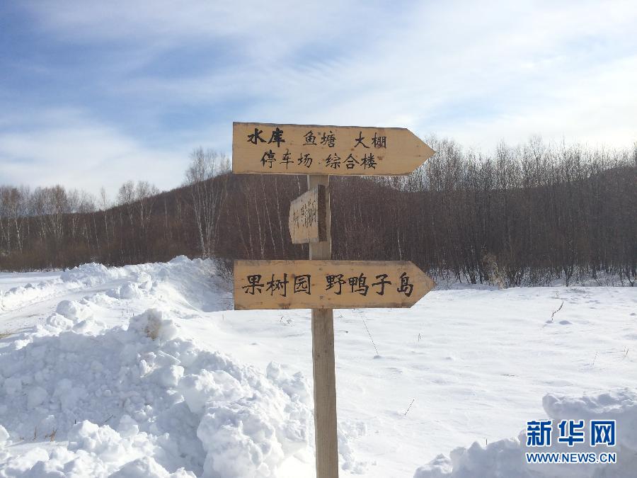 穗豐園里的標識牌（2013年12月8日攝）。新華社記者王子辰攝