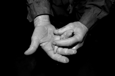 圖為科考人員發(fā)現(xiàn)的洞穴動物(3月2日攝)。 圖為科考人員發(fā)現(xiàn)的洞穴動物(3月2日攝)。