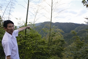 村民吳學田告訴記者，對面兩座山就是潘建友承包的部分山場 見習記者 邱一文 攝