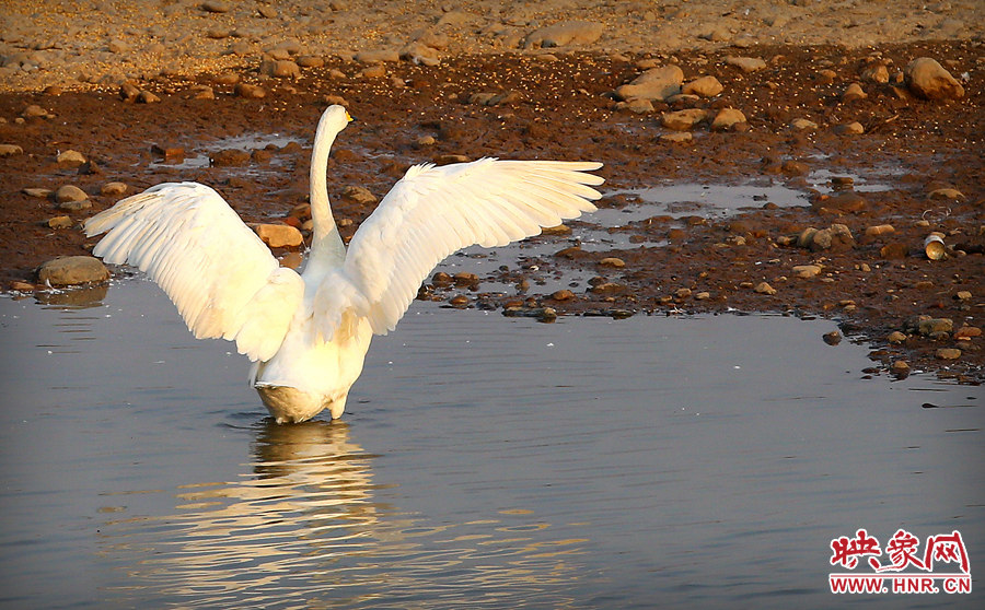 舒展筋骨 舒展筋骨