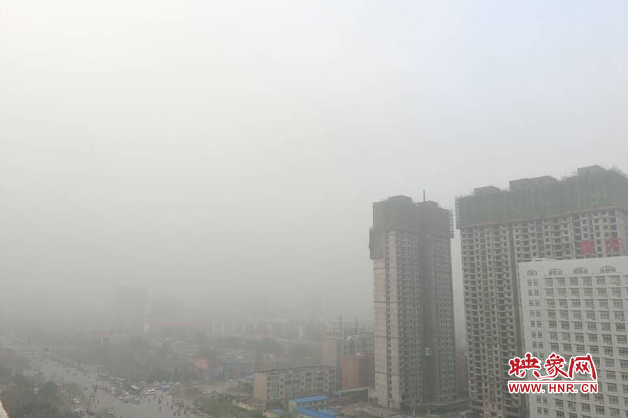 大霧下的花園路 大霧下的花園路