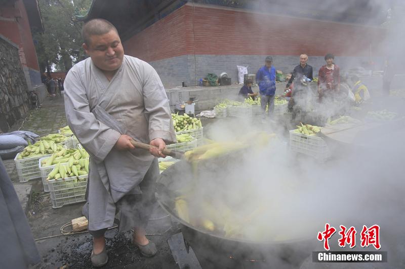少林禪耕農場迎來秋收 免費煮玉米送游客 少林禪耕農場迎來秋收 免費煮玉米送游客