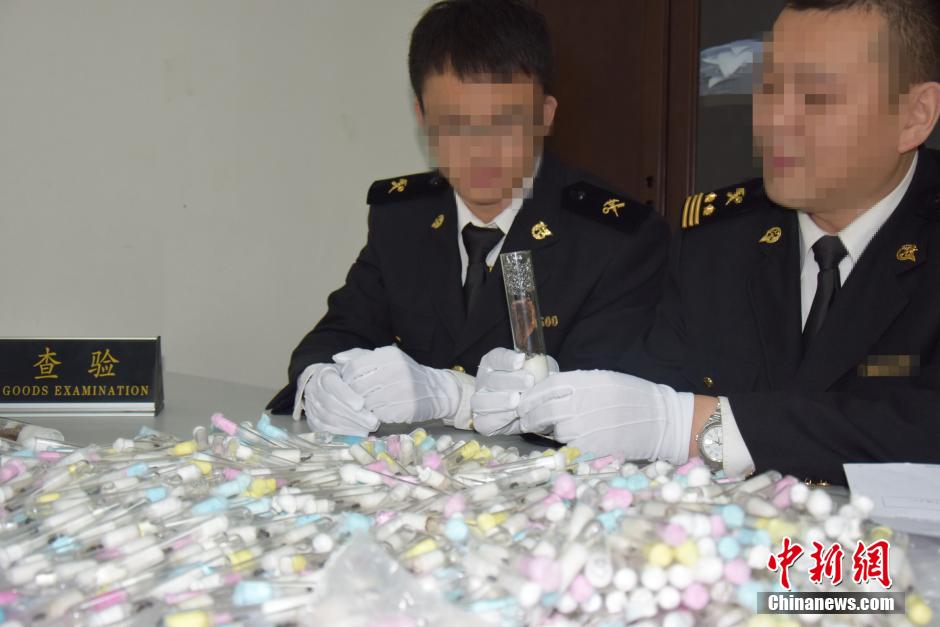 四川海關截獲400只入境活體螞蟻 四川海關截獲400只入境活體螞蟻