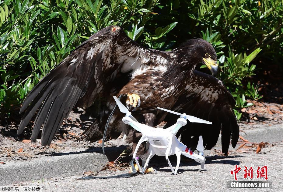 圖片默認標題 圖片默認標題