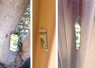 “隱藏的鈔票”會被神秘人藏在公園、廁所等“奇怪的地方”。 “隱藏的鈔票”會被神秘人藏在公園、廁所等“奇怪的地方”。