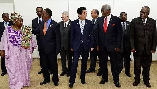 安倍此去肯尼亞是為了出席日本政府主導的第六屆非洲開發會議。此次會議通過了內羅畢宣言：主要內容包括，促進經濟多元化，通過產業化推動經濟結構改革;促進保障高品質的保健系統;促進保障共同繁榮的社會安定。