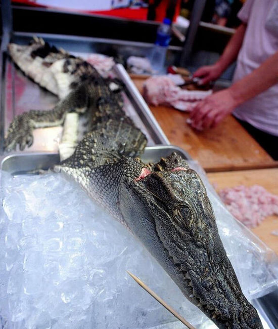 沈陽(yáng)現(xiàn)“烤鱷魚肉”20元一串現(xiàn)烤現(xiàn)賣(圖)