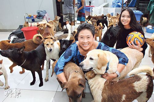 香港空姐賣豪宅養流浪狗曾借貸度日稱從不后悔