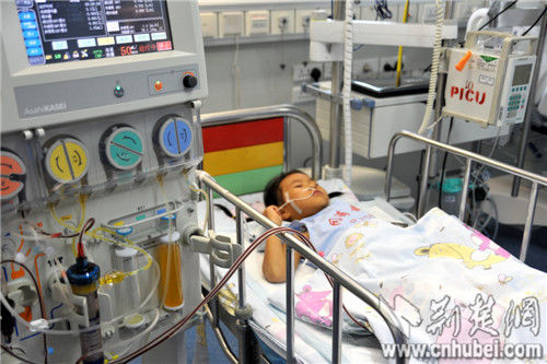 圖為：正在換血漿的丹丹還不知道姐姐已經(jīng)離開(kāi)了自己