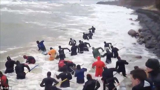 一場暴雨后，俄羅斯加里寧格勒Pionersky鎮，數十人潛入海水中搜尋琥珀。