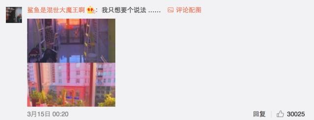 這個(gè)學(xué)校的男生宿舍火了!女同學(xué)都喊著要嫁