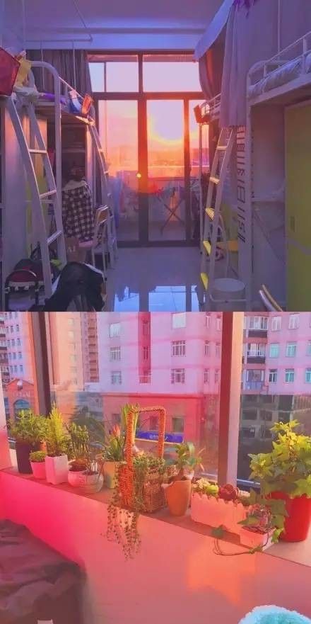 這個(gè)學(xué)校的男生宿舍火了!女同學(xué)都喊著要嫁