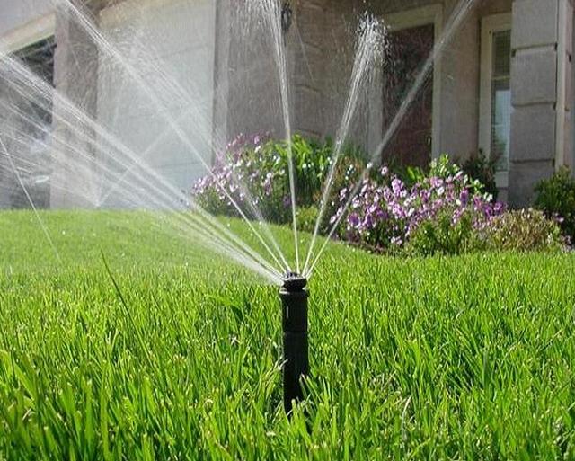 人民日報:一人澆3000畝地才是互聯(lián)網(wǎng)+三農(nóng) 人民日報:一人澆3000畝地才是互聯(lián)網(wǎng)+三農(nóng)