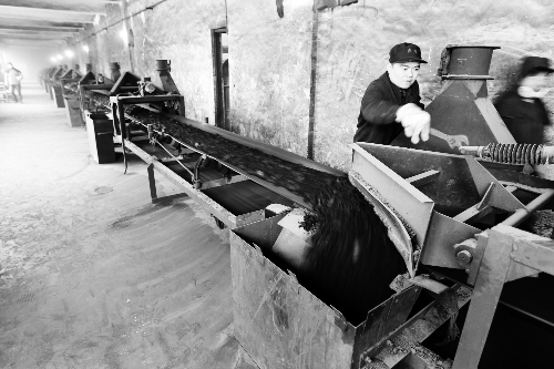 　供熱鍋爐已經開始進煤