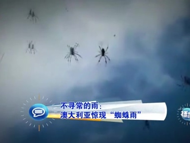 不尋常的雨：澳大利亞驚現“蜘蛛雨”