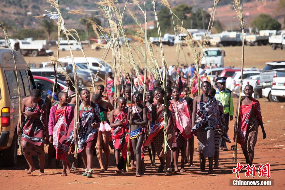 斯威士蘭蘆葦節開選秀女 十萬“甄嬛”苦盼國王垂青
