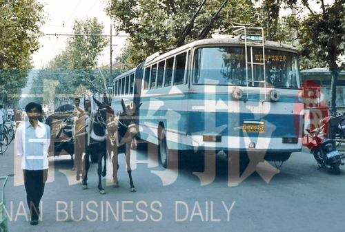 當年的伏牛路,驢車和公交車并行 當年的伏牛路,驢車和公交車并行